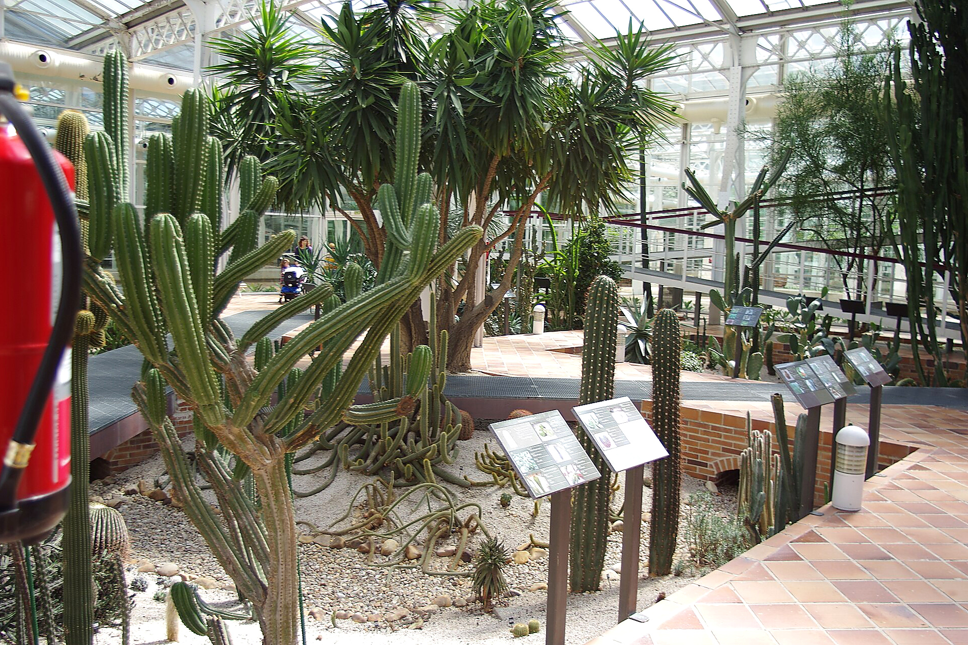 Invernadero de Arganzuela en Madrid: el Palacio de Cristal secreto de Madrid Río con plantas tropicales y desérticas