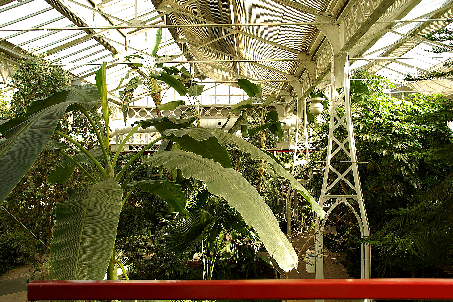 Invernadero de Arganzuela en Madrid: el Palacio de Cristal secreto de Madrid Río con plantas tropicales y desérticas