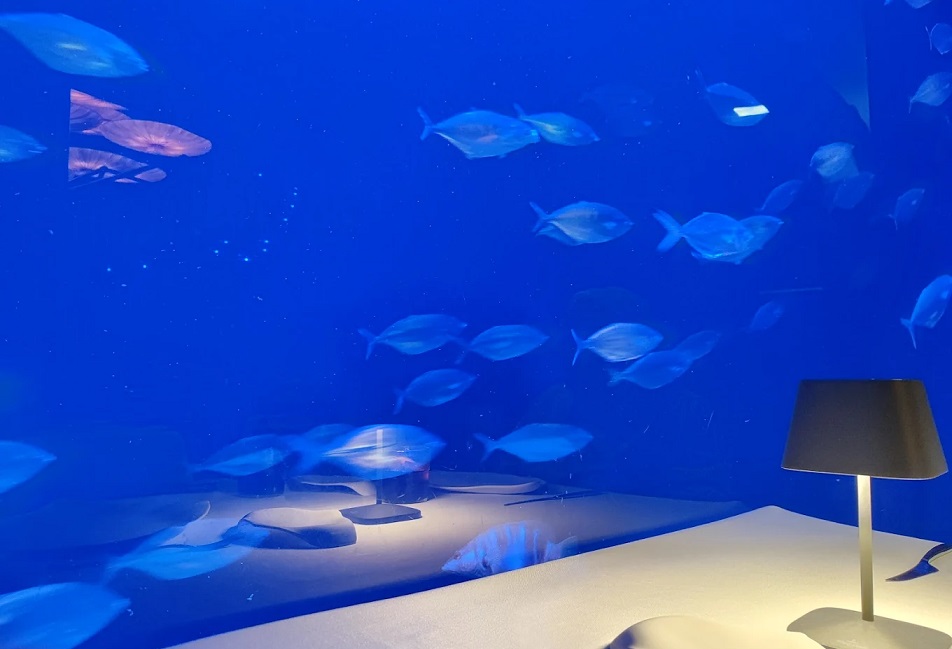 Ristorante Submarino, uno spazio di alta cucina mediterranea d'autore situato all'interno dell'Oceanogràfic di Valencia